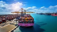 India export tax relief 2025