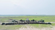 Indian Army Teesta Prahar Military Drill
