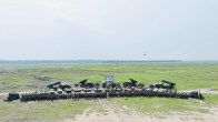 Indian Army Teesta Prahar Military Drill