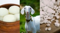 Jabalpur witnesses a series of bizarre thefts Including Rasgullas Salt and Goats