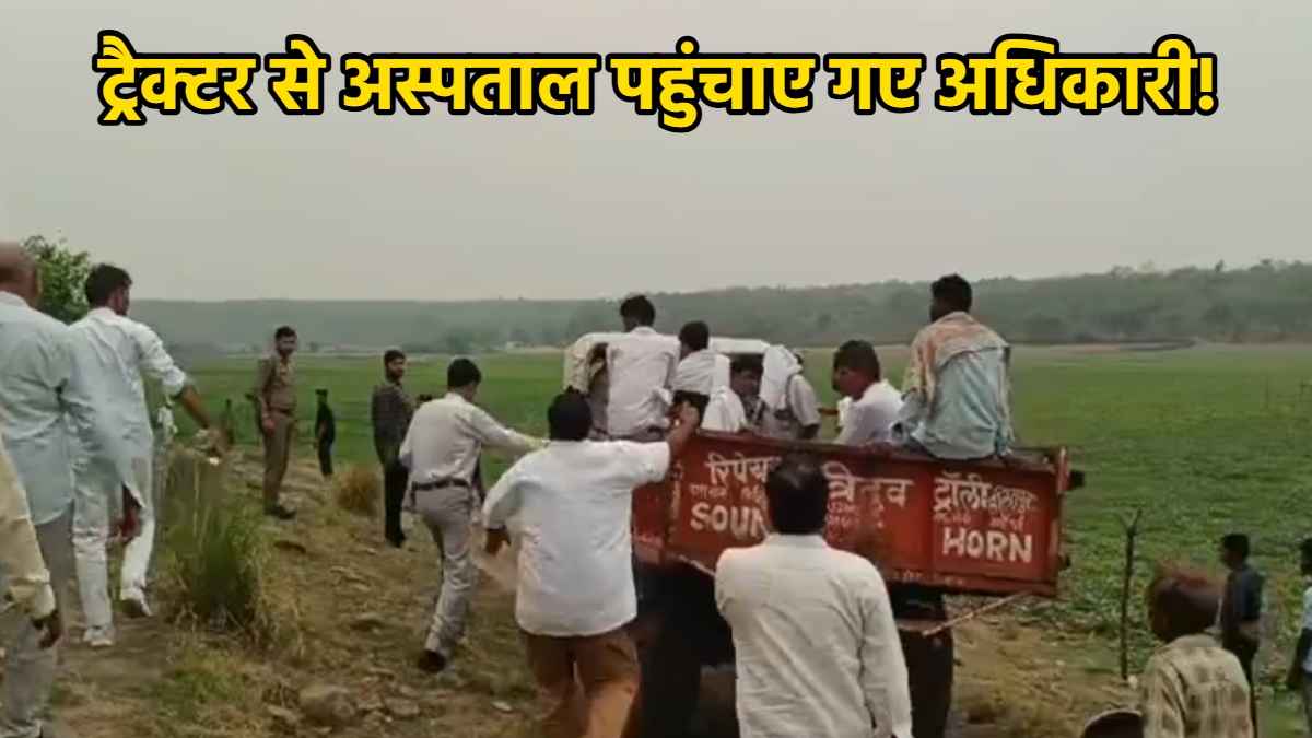 इंस्पेक्शन करने पहुंचे अधिकारियों पर मधुमक्खियों के हमले का वीडियो वायरल, एक शख्स को मारे 500 डंक