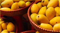 Mangoes Export To US