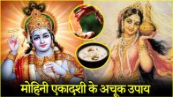 Mohini Ekadashi 2025