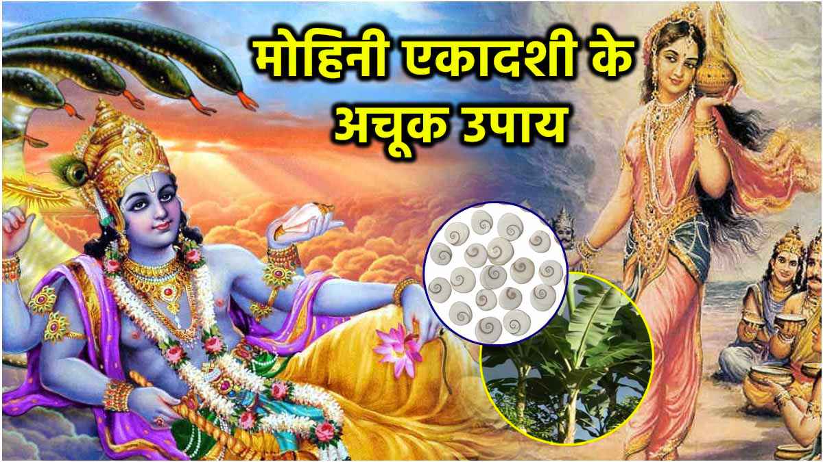 Mohini Ekadashi 2025: मोहिनी एकादशी की रात इन 3 उपायों को करना न भूलें, गृह क्लेश से लेकर धन संकट से मिल सकता है छुटकारा