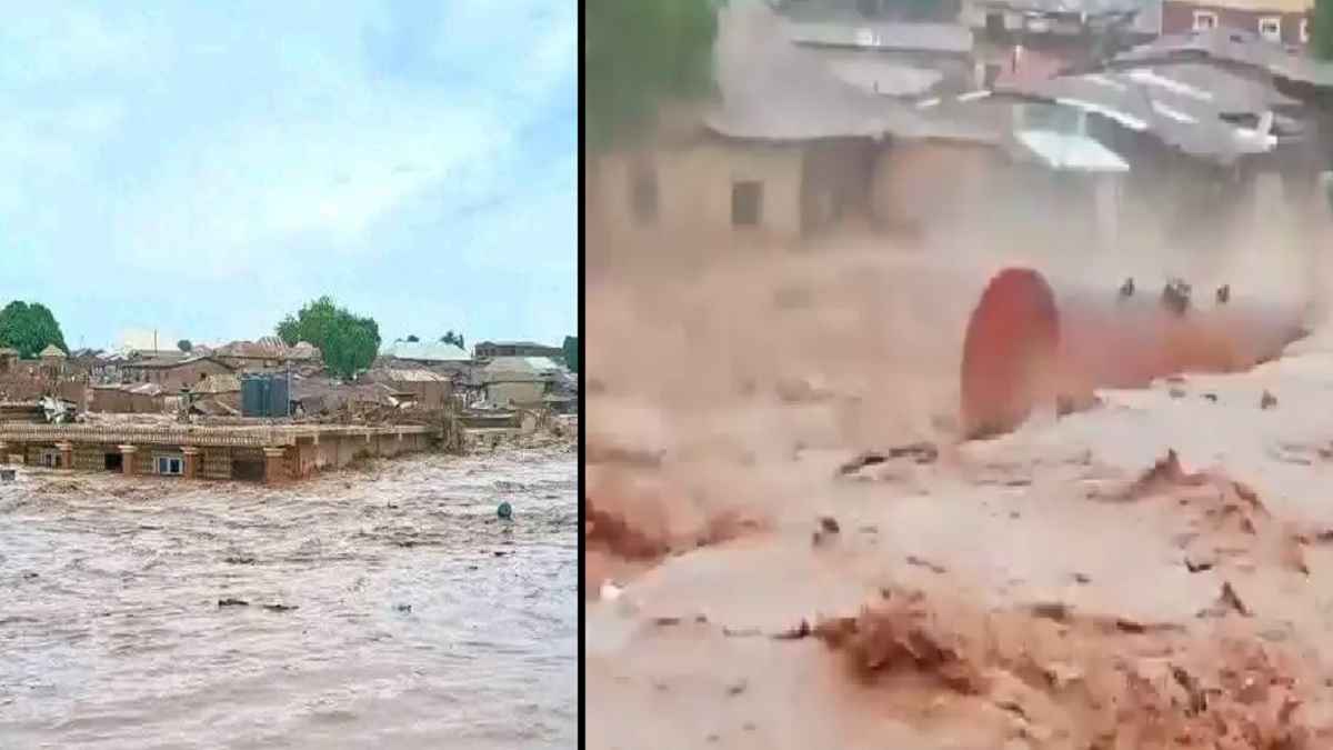 घरों में घुसा पानी, बाढ़ ने मचाई तबाही; नाइजीरिया में 117 लोगों की मौत, देखें Video