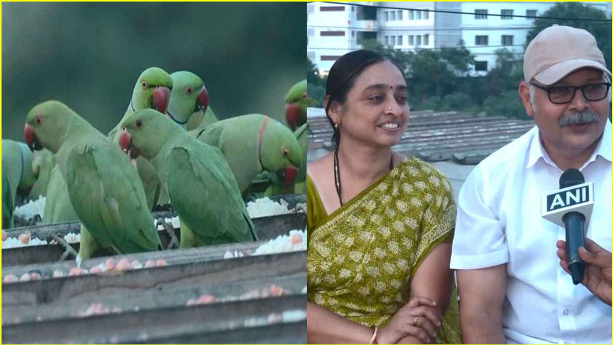 चेन्नई के कपल ने 15 सालों तक पक्षियों को दिया छत पर आश्रय, जानें कैसे शुरू किया काम  