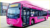 Patna Pink bus