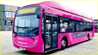 Patna Pink bus