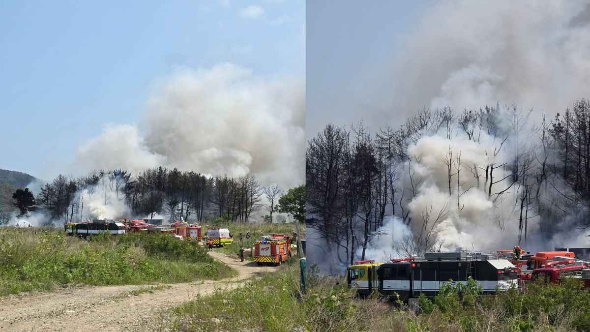 Plane Crash: दक्षिण कोरिया नौसेना का प्लेन क्रैश, चार लोग थे सवार, वीडियो आए सामने
