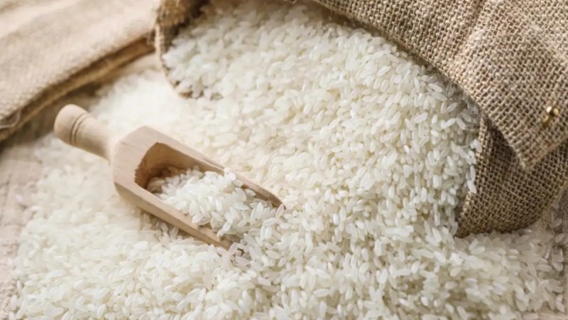 Rice