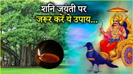 Shani Jayanti 2025