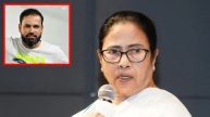 TMC NEWS