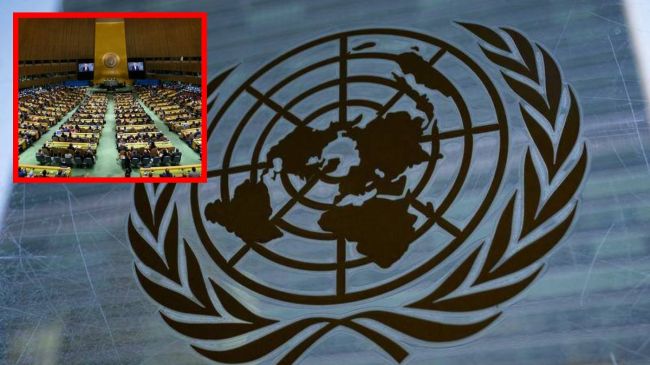 UN may cut staff by 20%