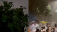 Delhi NCR Rain