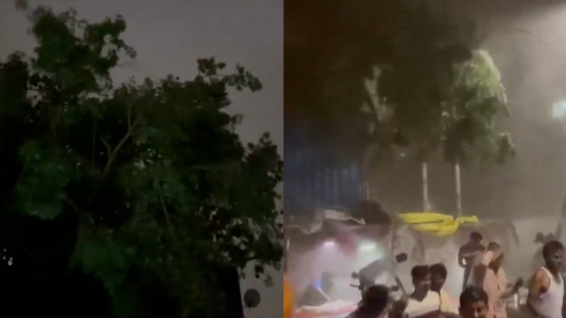 Delhi NCR Rain