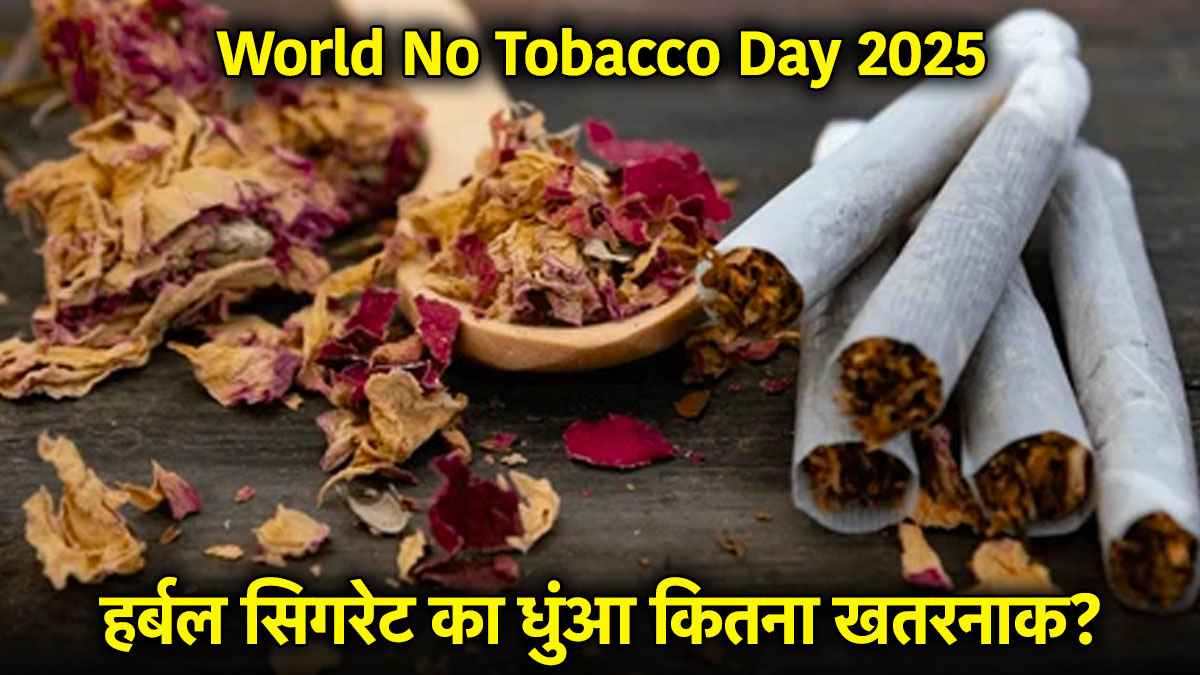 World No Tobacco Day 2025: धूम्रपान छोड़ने के नाम पर पी रहे हैं 'हर्बल सिगरेट'? जानें क्या यह विकल्प सही