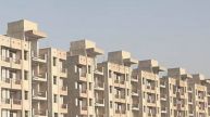 DDA News