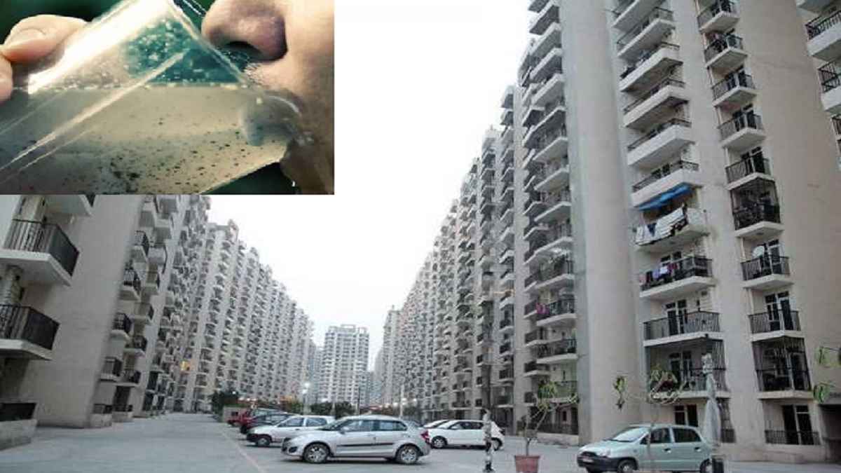 astha green society