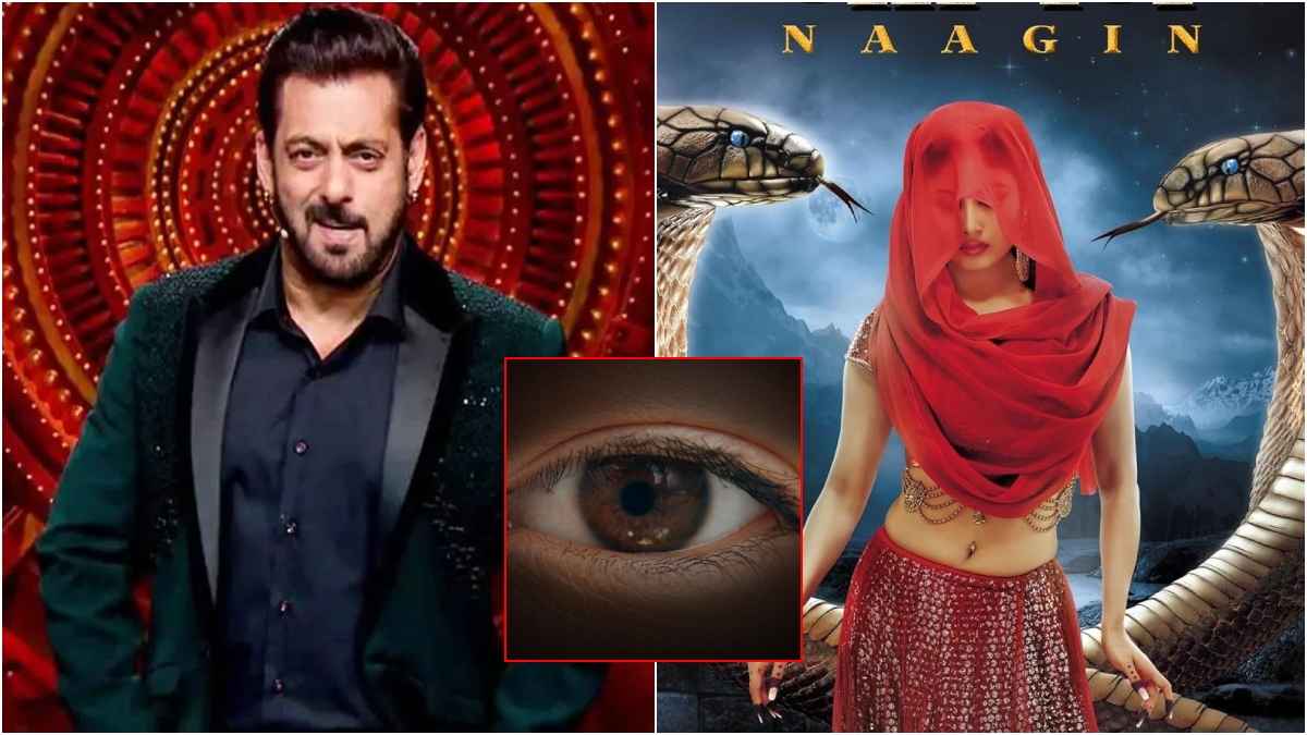 Bigg Boss 19 या Naagin 7... कलर्स ने किस शो को लेकर दिया हिंट? देखें यूजर्स के रिएक्शन