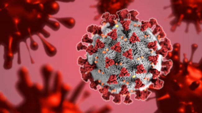Coronavirus Latest Update India, Active Covid Cases in India, June 2025 India Covid News, कोरोना से मौतें भारत, COVID cases state wise India 2025, 10 STATES COVID CASES, DELHI COVID CASES, bihar corona news, kerala corona news, maharashtra