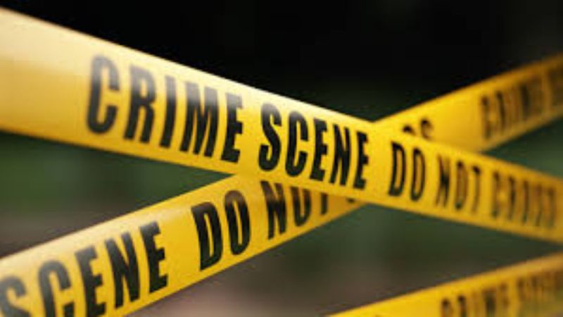 delhi crime news