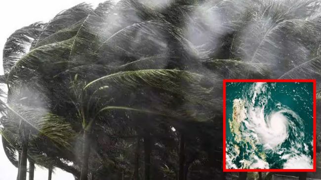 gujarat weather forecast