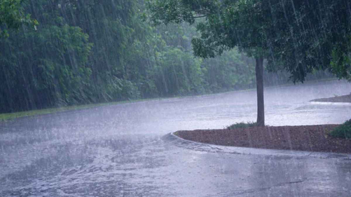 Ghaziabad News, Ghaziabad Police, Ghaziabad Fire Department, wall collapsed due to rain, Ghaziabad weather, Weather Updates, Today's Weather, Ghaziabad, Ghaziabad Latest News, गाजियाबाद खबर, गाजियाबाद, गाजियाबाद ताजा खबर, गाजियाबाद मौसम, मौसम अपडेट, आज का मौसम, गाजियाबाद पुलिस, गाजियाबाद दमकल विभाग, बारिश से दीवार गिरी