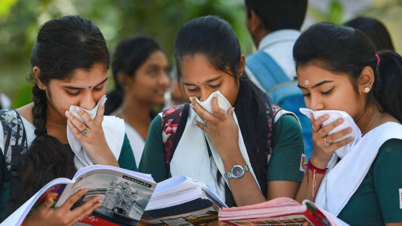 haryana board 12th result 2025 (3)