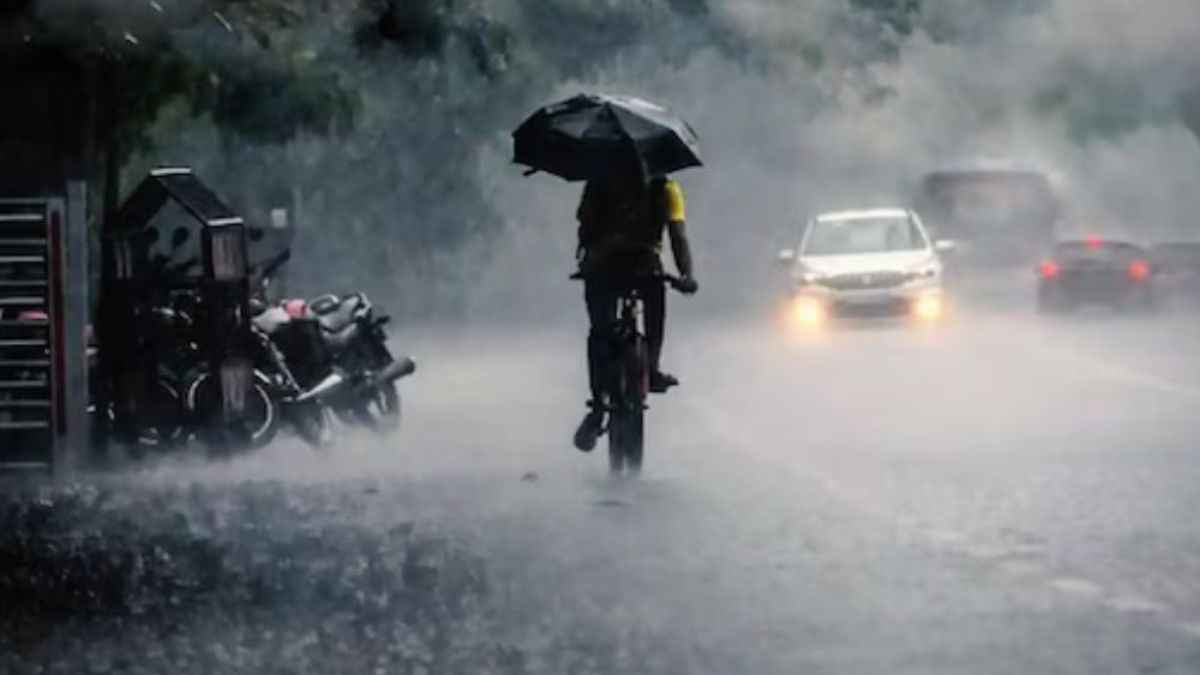जोधपुर में तेज हवाओं के साथ बारिश का दौर, कहीं उखड़े पेड़ तो कहीं बिजली के पोल