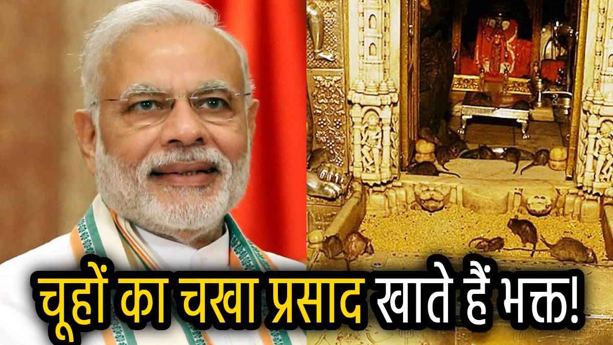 Karni Mata Temple: PM मोदी करेंगे देशनोक के करणी माता मंदिर में दर्शन, जहां निवास करते हैं 25 हजार चूहे