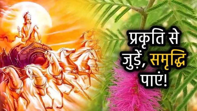 nautapa-2025-plants-to-please-maa-lakshmi