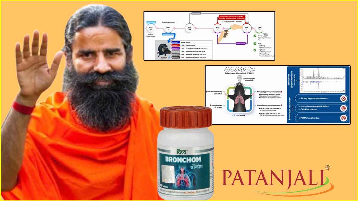 patanjali (15)