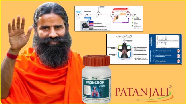 patanjali (15)