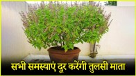 Tulsi ke Upay