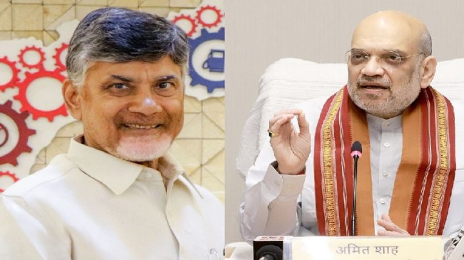Home Minister Amit Shah, Andhra Pradesh CM Chandrababu Naidu, Delhi News, गृह मंत्री अमित शाह, आंध्र प्रदेश मुख्यमंत्री एन. चंद्रबाबू नायडू