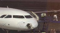 Delhi News, delhi indigo flight, दिल्ली न्यूज, इंडिगो फ्लाइट