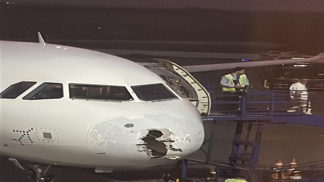 Delhi News, delhi indigo flight, दिल्ली न्यूज, इंडिगो फ्लाइट