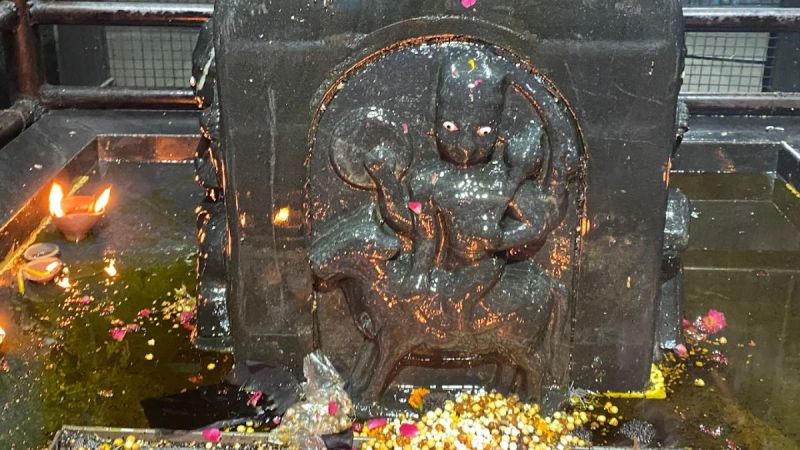 shanidev