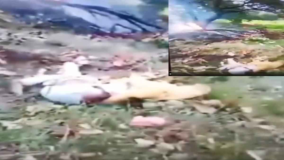 Kedarnath Helicopter Crash: हादसे का पहला वीडियो आया सामने, आगजनी... हेलीकॉप्टर के उड़े परखच्चे