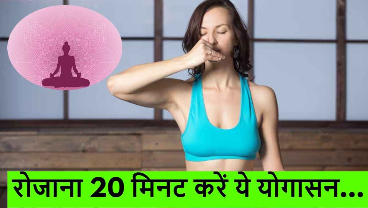 International Yoga Day 2025: सेहत में चार चांद लगा देंगे ये 12 योगासन, आज से ही करें शुरू