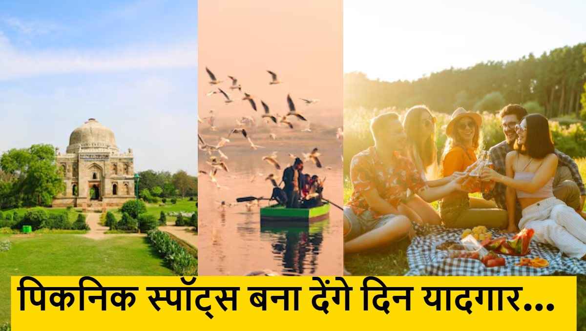 International Picnic Day: पिकनिक का मजा अब दूर नहीं, दिल्ली के ये स्पॉट्स हैं एकदम परफेक्ट