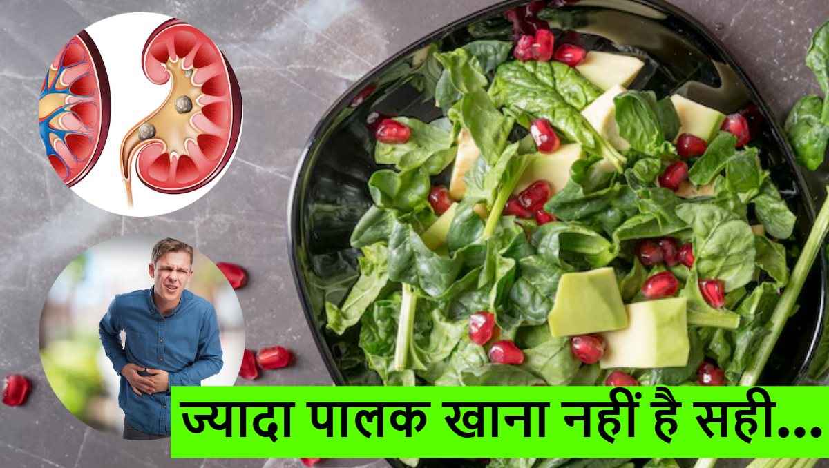 Health Tips: पालक का जरूरत से ज्यादा सेवन बन सकता है बीमारी की वजह, जानें कैसे
