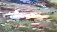Kedarnath Dham | Helicopter Crash | Uttarakhand