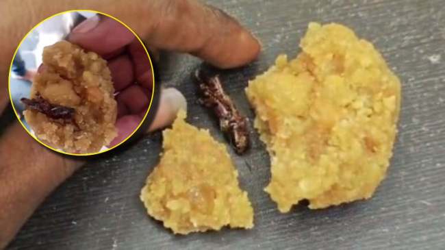 Andhra Pradesh Temple Prasad Viral Video