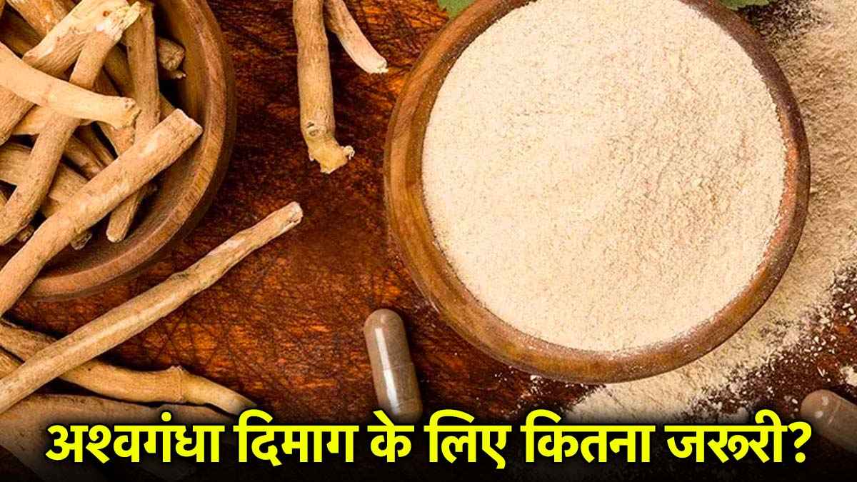 अश्वगंधा तनाव में कितना फायदेमंद? जानें क्या कहते हैं डॉक्टर