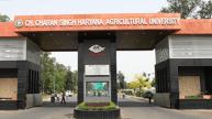 CCS haryana