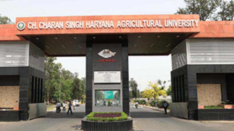 CCS haryana