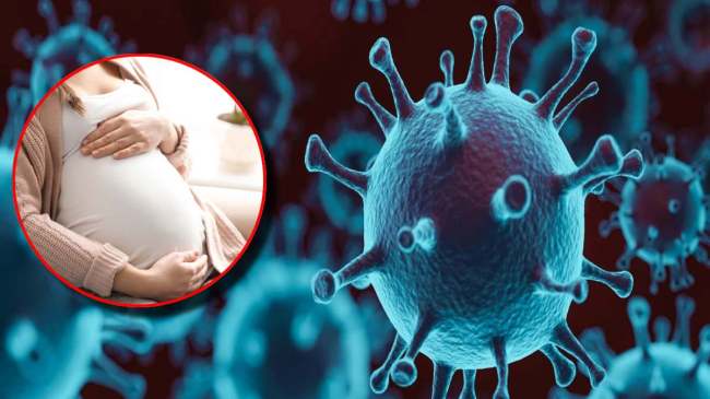 Corona Case Update in India