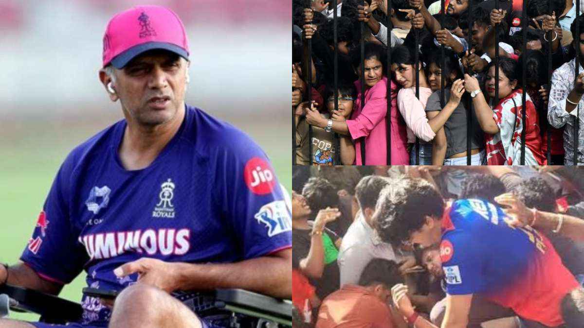 Cricket News (16)