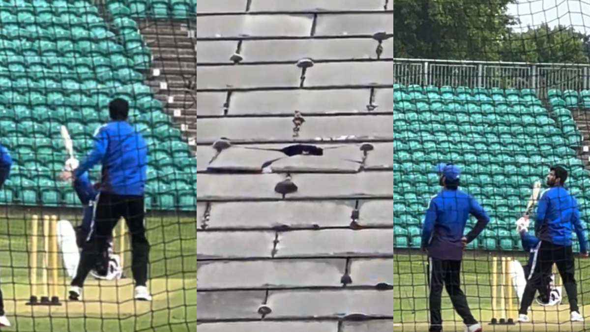 Cricket News (3)